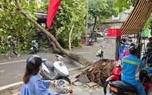 Đường phố Hà Nội vẫn ngổn ngang cây đổ, người dân chật vật tìm đường tới công sở