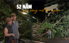 Cây đa 52 tuổi ở phố Phan Đình Phùng bật gốc: Chồng trồng trong sinh nhật vợ, tạm biệt món quà tình yêu gần bằng 1 đời người