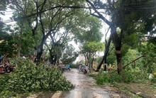 Thủ tướng quyết định hỗ trợ khẩn cấp 100 tỷ đồng cho 5 tỉnh miền Bắc khắc phục thiệt hại bão Yagi