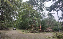 Sân Mỹ Đình tan hoang do bão, cây nằm la liệt dù chỉ còn một ngày nữa đội tuyển Việt Nam đấu Thái Lan