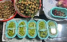 "Tam tai" của nho xanh ập đến đầu năm 2025, nhiều người hốt hoảng: Chuyện gì đã xảy ra thế?