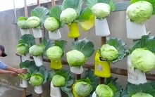 Bức ảnh giúp 1 người đàn ông bình thường vụt nổi tiếng