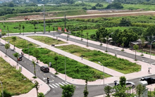 Nhà đầu tư “tỉnh giấc” sau các cơn sốt đất đấu giá ở Hà Nội