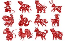 Còn 12 ngày nữa là Tết Nguyên đán, 4 con giáp này đón tin vui tới tấp, tiền bạc đổ về như thác lũ