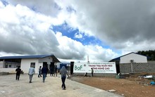 Một trang trại nuôi heo bị đình chỉ hoạt động