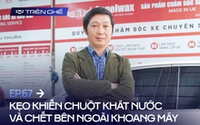 Chăm xe chơi Tết: Kẹo khiến chuột khát nước, chết bên ngoài và lưu ý vệ sinh khoang động cơ