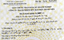 Sở KH-ĐT TP Huế lên tiếng việc doanh nghiệp than khó đổi giấy phép kinh doanh