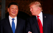 Ông Trump đã thảo luận với Chủ tịch Trung Quốc Tập Cận Bình về tương lai TikTok và loạt vấn đề nóng