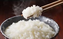 Một ngày ăn mấy bát cơm là phù hợp?