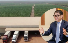 Cổ phiếu công ty nông nghiệp của ông Trần Bá Dương bất ngờ tăng kịch trần