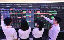 Một công ty chứng khoán báo lợi nhuận năm 2024 cao kỷ lục