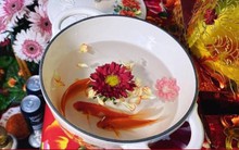 Nên chọn cá chép sống, cá rán hay cá giấy để cúng ông Công ông Táo?