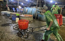 Khu chợ nổi tiếng Hà Nội dịp ông Công ông Táo nhộn nhịp xuyên đêm, nhiều người “cân đo đong đếm” lượng mua vì 1 điều