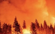 Sức gió tăng mạnh, California đối mặt với đợt cháy rừng mới