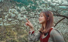 Lịch trình "đỉnh nóc kịch trần" đến thung lũng mận trắng Mộc Châu: Tạo khác biệt ở nơi sát Thác Dải Yếm