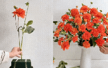 Cách cắm hoa thược dược bằng xốp, chỉ 10 phút xong ngay 1 bình đẹp rực rỡ trưng Tết, mẹ vụng mấy cũng làm được!