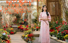 “Con đường hoa” có 1-0-2 giữa lòng biệt thự cổ hơn 3.000m2, nằm ngay trên con phố đẹp nhất nhì trung tâm thủ đô