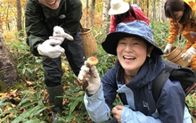 Bùng nổ trào lưu săn nấm của giới trẻ Trung Quốc