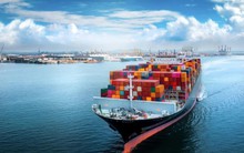 Xuất khẩu linh hoạt ứng phó chính sách mới của Mỹ