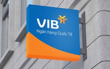VIB: Lợi nhuận năm 2024 đạt 9.000 tỷ đồng, tăng trưởng tín dụng 22%