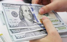 Tỷ giá hôm nay 23/1: Giá USD ngân hàng giảm mạnh, giá mua xuống dưới 25.000 VND