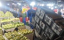 Cận cảnh chợ đầu mối ở TP HCM đêm 23 rạng sáng 24 Tết