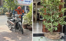 Bức ảnh khiến một người "rơi lệ", vạn người xôn xao