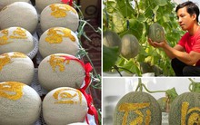 Đặc sản 'lá xếp siêu hoa’, dưa lưới khắc chữ tài lộc đắt hàng dịp Tết