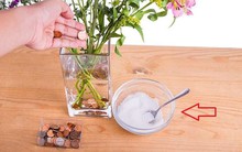 Mua hoa tươi thôi chưa đủ, học ngay 7 cách này, đảm bảo hoa nhà bạn sẽ lung linh cả 9 ngày Tết!