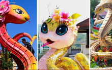 Linh vật rắn tỉnh thành nào đẹp nhất Tết Ất Tỵ 2025?