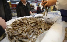 Nhắc bạn: Mua tôm mà thấy 5 dấu hiệu này, đừng dại mang về nhà!