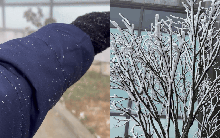 Ngay lúc này: Tuyết rơi "rào rào" tại đỉnh Fansipan, du khách hào hứng vì "xé túi mù trúng secret"