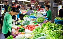 1 loại rau giòn ngọt cực ít thuốc trừ sâu, giàu dinh dưỡng còn nấu được nhiều món ngon ngày Tết