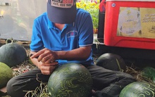 Dưa hấu, bưởi điêu khắc bằng tay, "mạ vàng" hút khách cận Tết