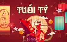 Sang năm mới Ất Tỵ, con giáp này được cát tinh soi sáng đường tài lộc, sự nghiệp bứt phá, đầu năm kiếm bộn tiền