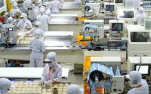 Nhìn lại tình hình doanh nghiệp gia nhập và tái gia nhập thị trường trong năm 2024