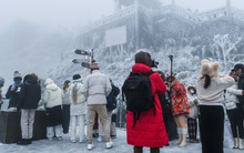 28 Tết, du khách đến Sa Pa "thắng đời 1-0" khi được đắm chìm trong khung cảnh tuyết phủ trắng xoá trên đỉnh Fansipan