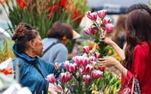 Hàng hóa không đội giá trong ngày giáp Tết, người Hà Nội tấp nập mua sắm