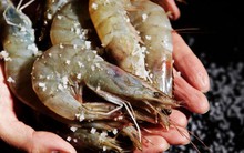 Cất tôm trong tủ lạnh nhớ cho thêm 1 thìa này lên trên, để cả tuần vẫn ngon ngọt, không bị thâm đen