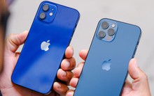 Giá iPhone cận Tết: iPhone 11 và 12 phá vỡ lịch sử, nhiều mẫu iPhone khác đồng loạt chạm đáy