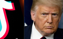 Ông Trump: Microsoft đang đàm phán để mua TikTok