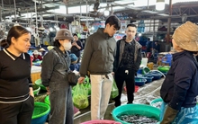 Các mặt hàng nông sản, hải sản được ưa chuộng dịp Tết