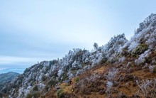 Băng tuyết phủ trắng núi cao Mù Cang Chải