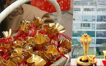 Đầu năm Ất Tỵ 2025, mua gì để rước may mắn vào nhà?