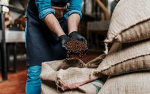 Mặt hàng có hiệu suất tăng trưởng khủng nhất trong năm 2024: tăng 70% vượt mặt cả giá vàng, Việt Nam xuất khẩu hàng đầu thế giới