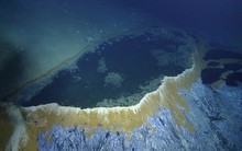 'Bể sục tuyệt vọng': Bí ẩn đầy chết chóc trong lòng đại dương