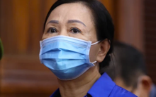 Nhìn lại những đại án kinh tế được xét xử trong năm 2024