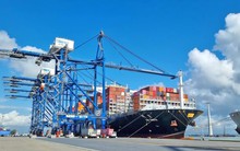 Cảng Tân Vũ đón tàu lớn chở hàng xuất khẩu