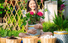 6 loài hoa và cây chiêu tài hút lộc, năm 2025 bạn nhất định nên trồng trong nhà để vừa đẹp vừa dễ gặp may