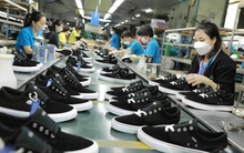 Ngành da giày đặt mục tiêu xuất khẩu 29 tỷ USD trong năm nay